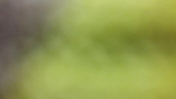 20150911 053816 thumbnail