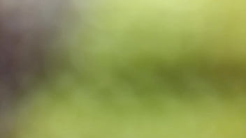 20150911 053816 thumbnail