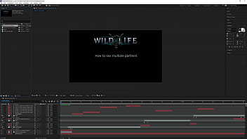 Wl broadcast by as on picarto from march 2019 a