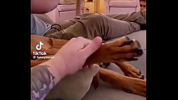 فيديو التحقق