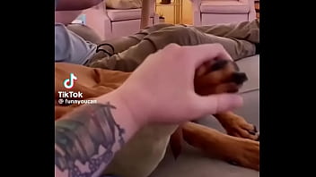 فيديو التحقق