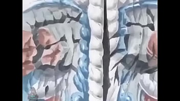 Fish man gets by an anime protagonist