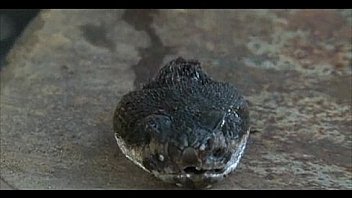 Squirt Fetish 614 thumbnail