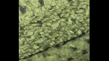 Fucking cock all the time