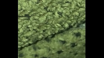 Fucking cock all the time