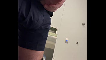 Ginger office playtime