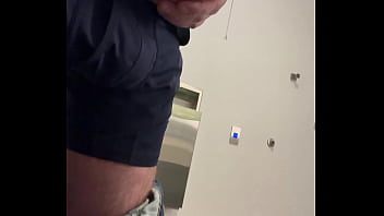 Ginger office playtime