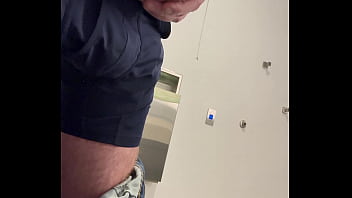 Ginger office playtime