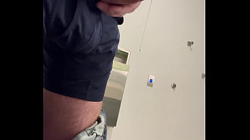 Ginger office playtime