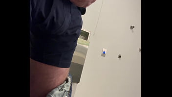 Ginger office playtime