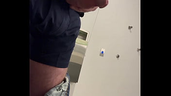 Ginger office playtime