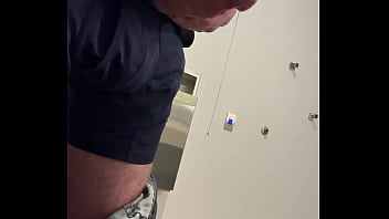 Ginger office playtime