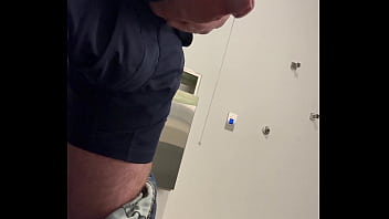 Ginger office playtime