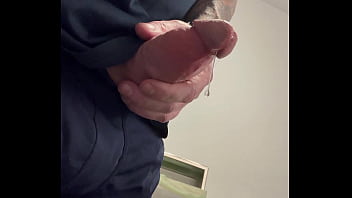 Ginger office playtime