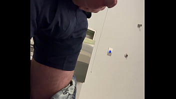 Ginger office playtime