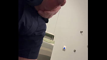 Ginger office playtime