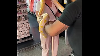 I love big snakes comment your snake