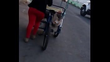 Culito rojo en la calle