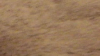 Ass thumbnail