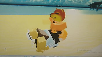 Educando O Novnho thumbnail