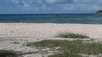 Hermosa vista frente al hotel isleño en la isla de san andres ven a disfrutar