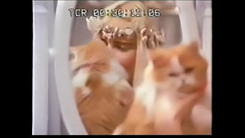 Amori particolari ilona staller