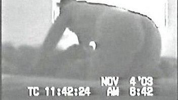 Morning Face Fuck Nov thumbnail