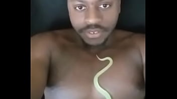 Other colors these scorpio zodiac animals show up in 3