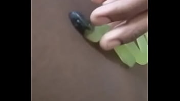 Other colors these scorpio zodiac animals show up in 3