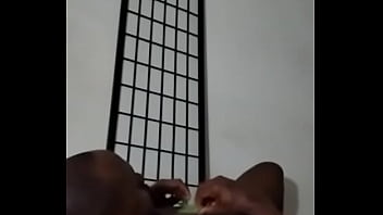 Other colors these scorpio zodiac animals show up in 3