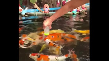 Only a few more days in thailand i’ll be back next year