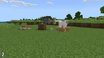 Nonsense Things In Minecraft thumbnail