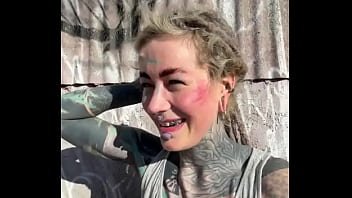 Rescued barn cat lara update