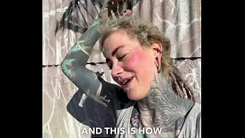 Rescued barn cat lara update