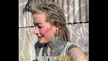 Rescued barn cat lara update