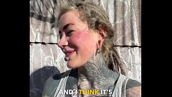 Rescued barn cat lara update