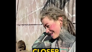 Rescued barn cat lara update