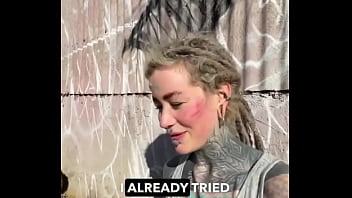 Rescued barn cat lara update