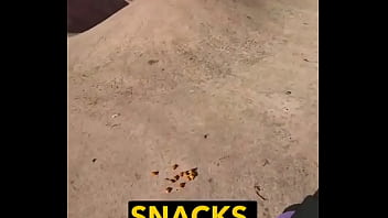 Rescued barn cat lara update