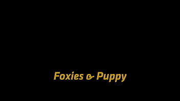 Foxies & puppy with puppy foxies by vipissy Foxies & puppy with puppy foxies by vipissy
