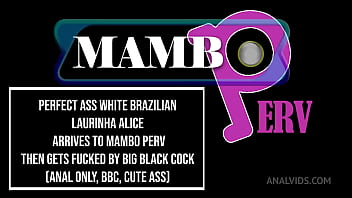 Perfect ass white brazilian laurinha alice arrives at mambo perv then gets fucked by big black cock anal only bbc cute