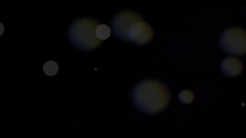 Young fresh tacos ashley ocean & cindy shine