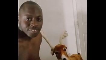 Blogging about bitter sweet version of song for free