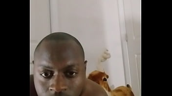 Blogging about bitter sweet version of song for free