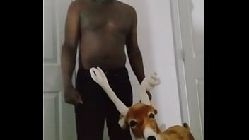 Blogging about bitter sweet version of song for free