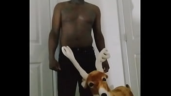 Blogging about bitter sweet version of song for free