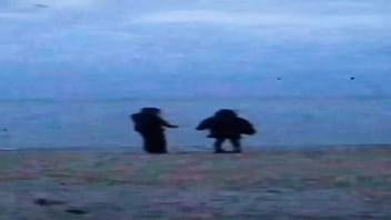 Viagem psicodelica fudendo com tudo