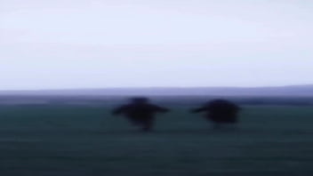 Viagem psicodelica fudendo com tudo