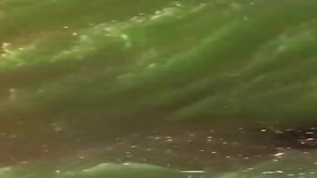 Viagem psicodelica fudendo com tudo