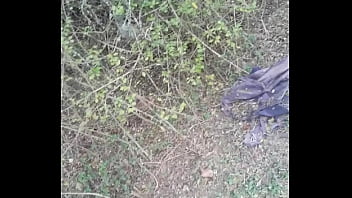 20161031 112914 thumbnail